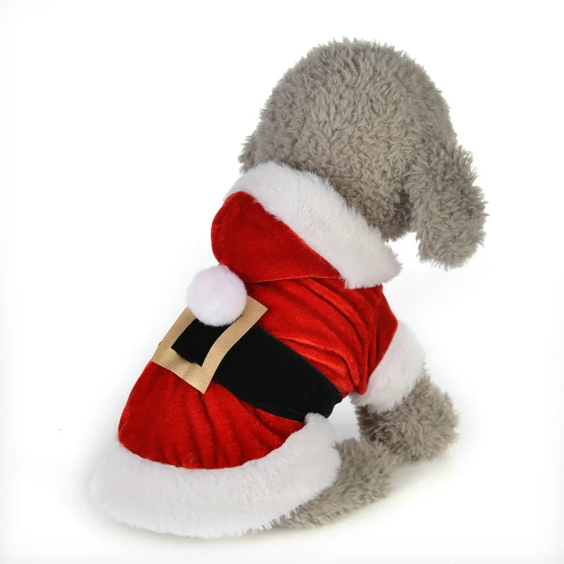 Santa Coat for Pooches of all sizes!